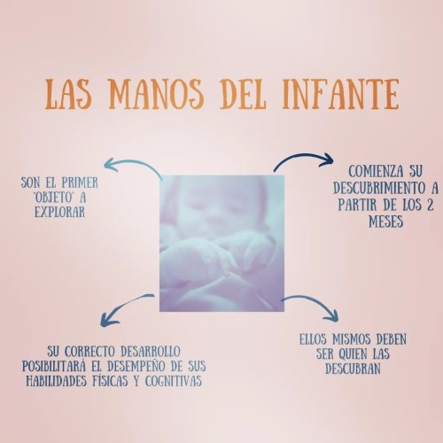 Sus manos