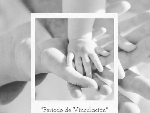 Período de Vinculación