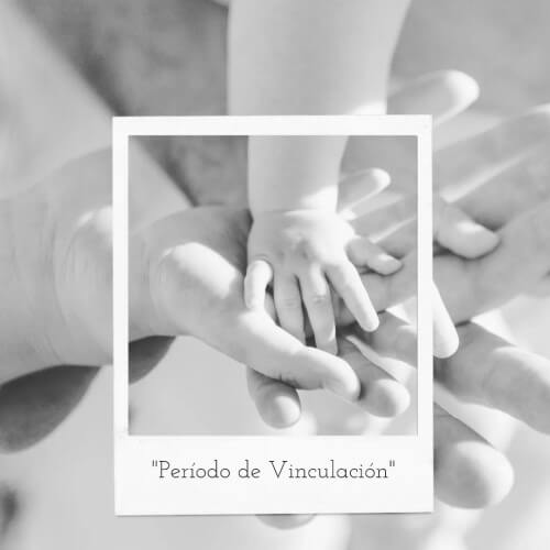 Período de Vinculación