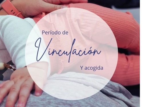 Vinculación