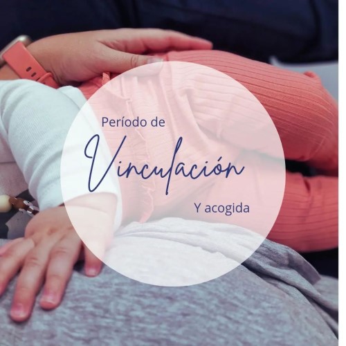 Vinculación